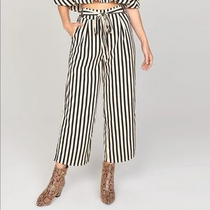 Amuse Society Pant with Stripes